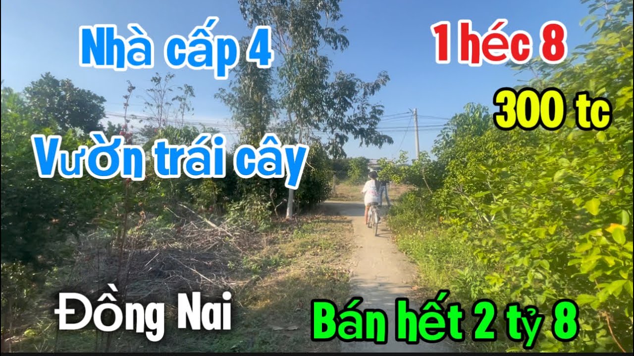 Bán nhà vườn trái cay 1 héc 8 có 300m thổ cư giá bán chỉ 2 tỷ 8 tại tân phú tỉnh đồng Nai 