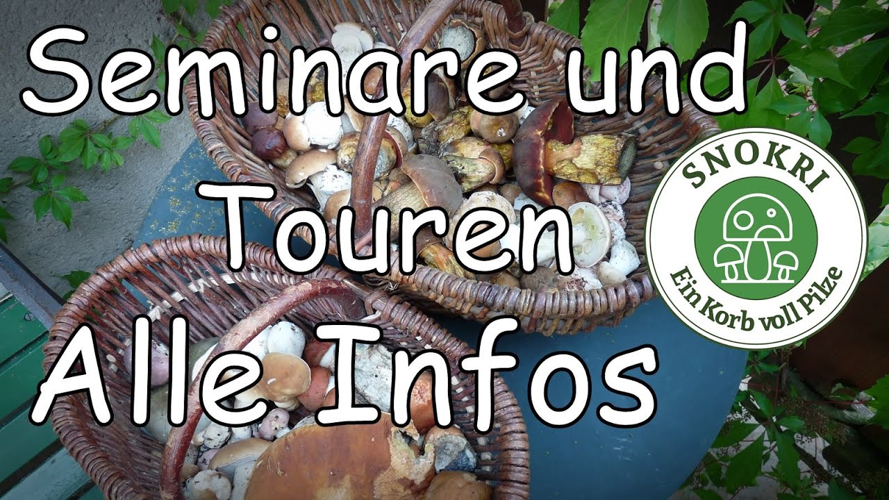 Pilze -Touren Pilze - Seminare - alle Infos alle Termine