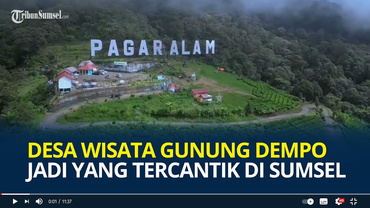 Desa Wisata Gunung Dempo Pagaralam jadi yang Tercantik di Sumsel, Masuk 50 Besar ADWI