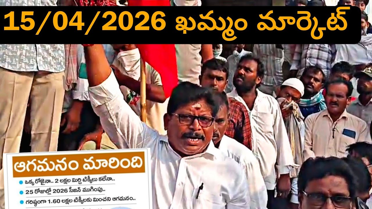 15.04.2026 Today #khammam market yard prices ఖమ్మం మార్కెట్ యార్డ్ ధరలు #mirchi #chili 