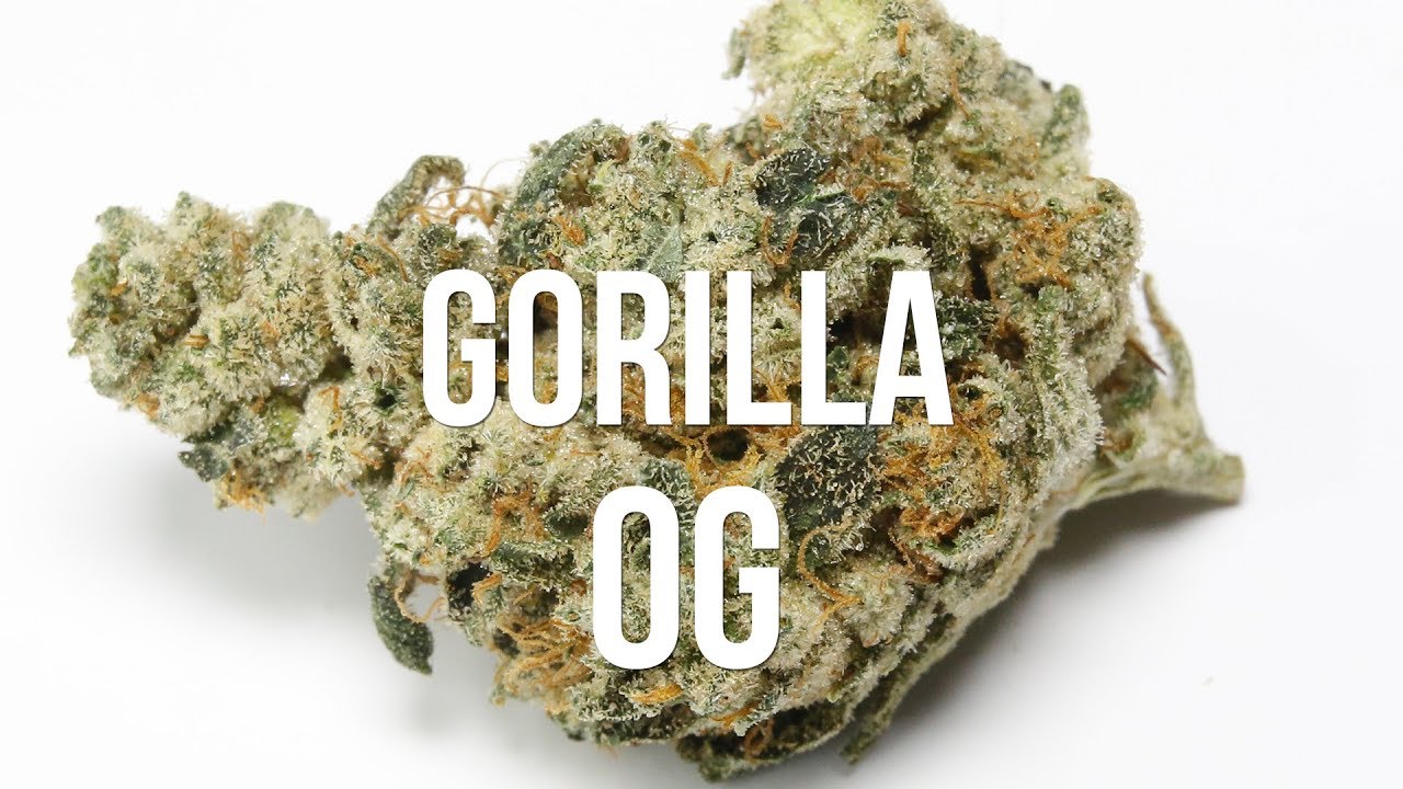 Gorilla OG Strain Review