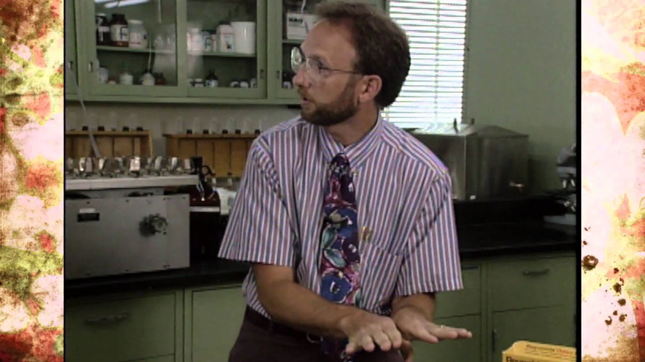 Tissue Culture Propagation:  Class 101