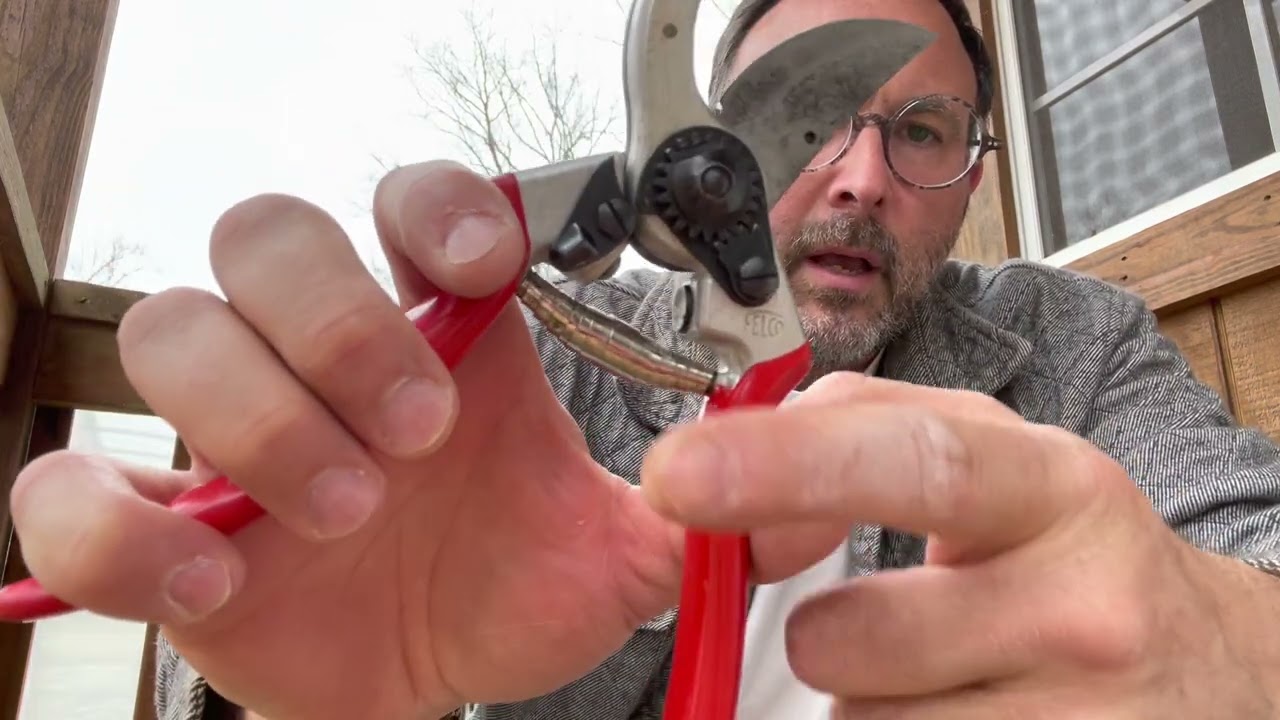 Tools of the trade!  Felco No.2 and 310 pruning shears.