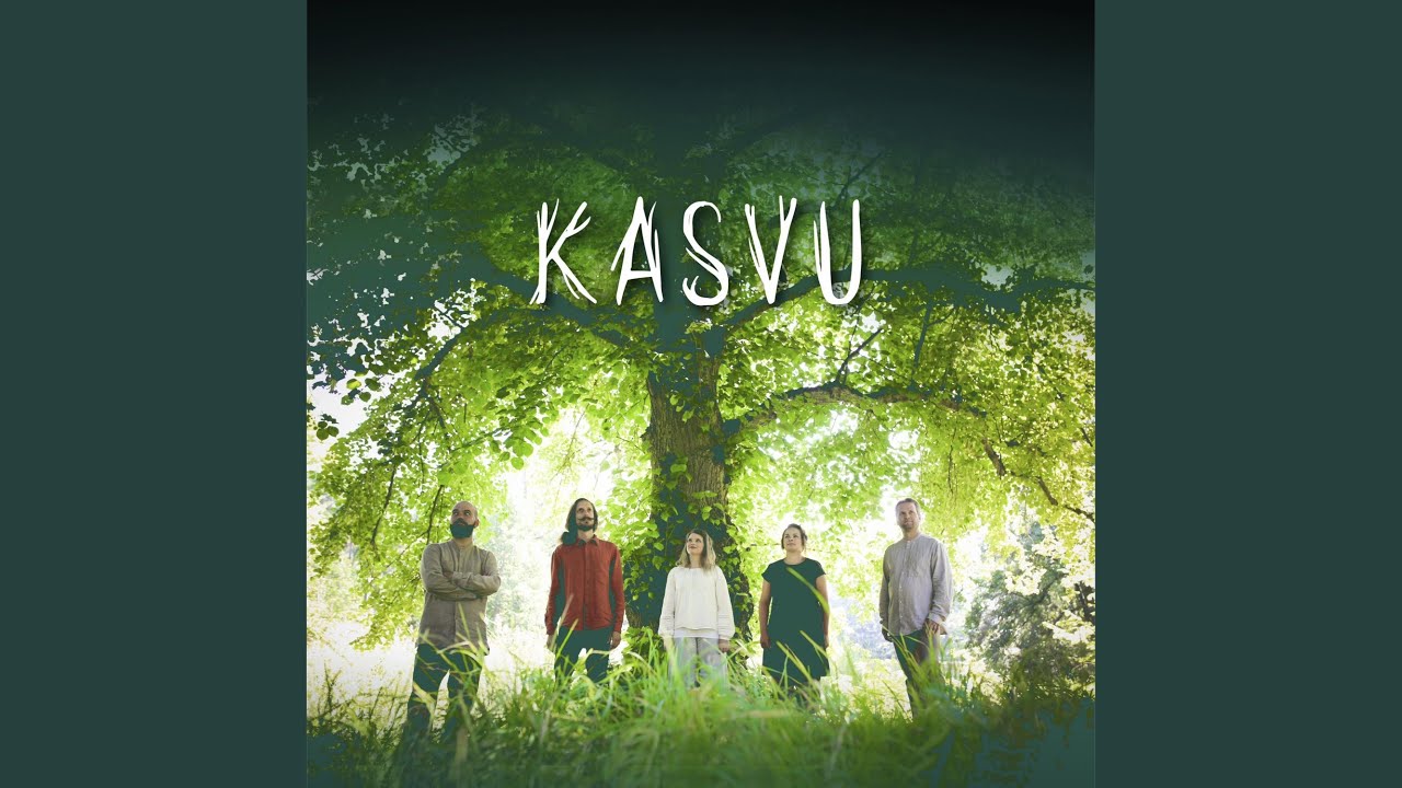 Kaislikko