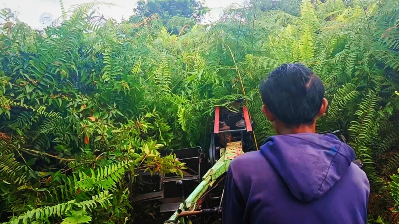 Traktor g3000 manual Gelebek rumput semak belukar