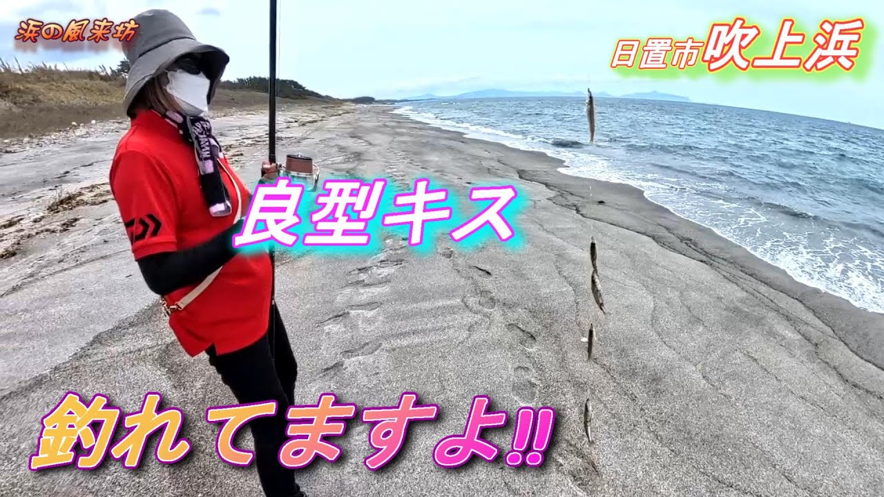 吹上浜での【キス釣り】2025年4月19日 　良型キスが釣れてます。