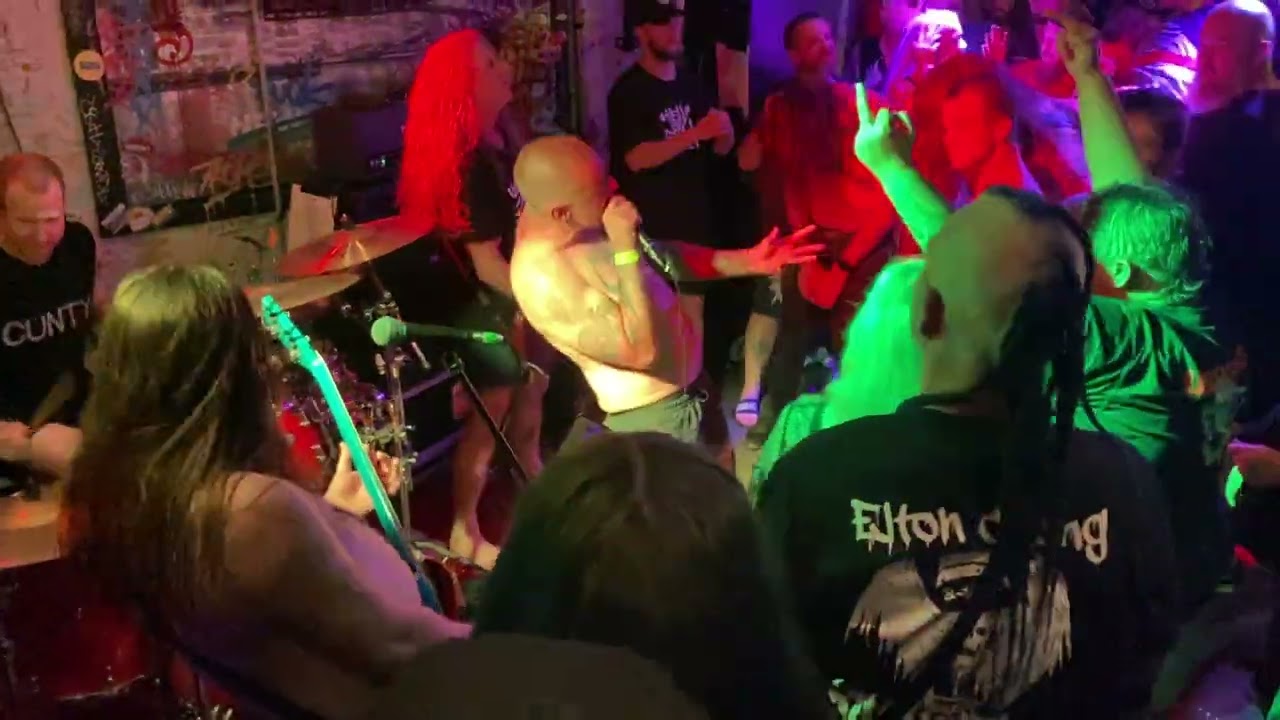 King Parrot - 