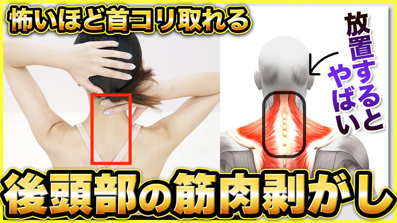 【首コリ】自律神経の乱れが原因！？首の後ろが辛い時にやってほしいセルフマッサージ【後頭下筋はがし】