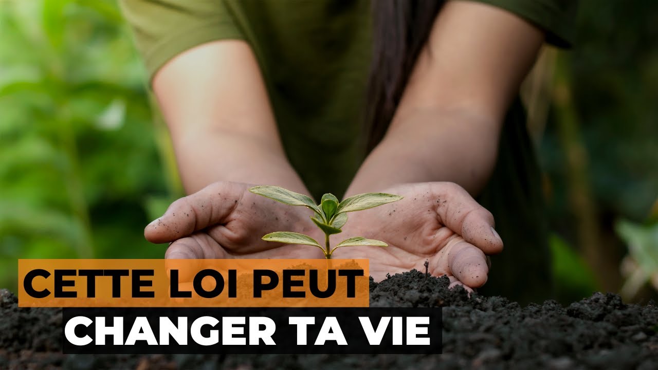 5 secrets à savoir sur la Loi de la Semence et de la récolte ! | écoute la vidéo jusqu'au bout