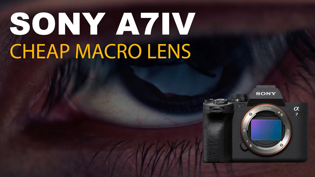 Sony A7 IV Macro Test | Andoer 60mm f/2.8 Cheap Lens Review | S-Log3 DaVinci Resolve