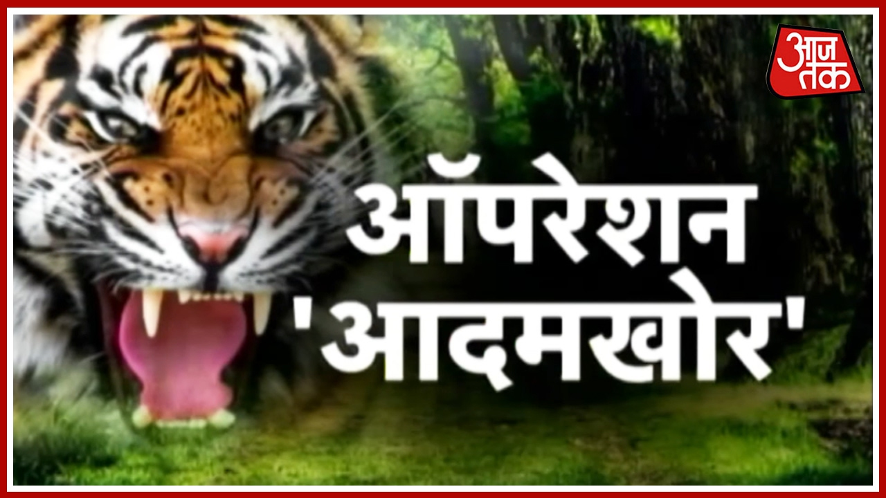 Man-eater Tiger Finally Caught In Pilibhit UP