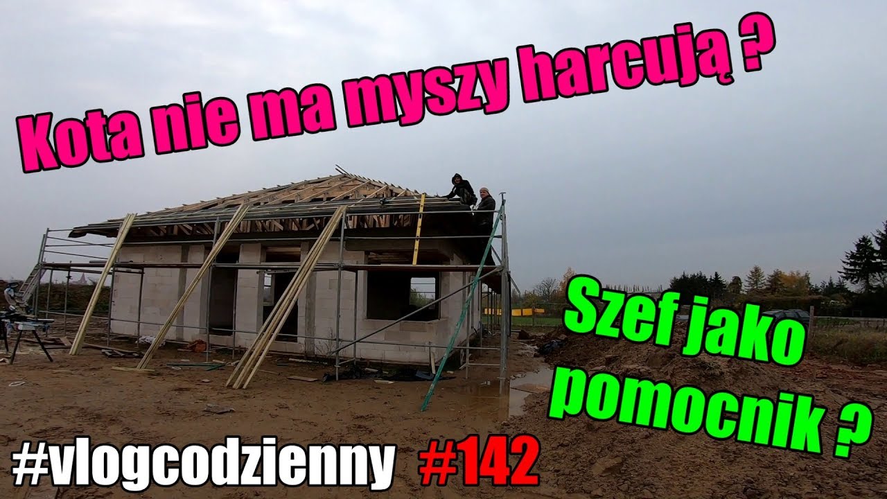 Kota nie ma myszy harcują..? Szef jako pomocnik na budowie ..? #serialcodzienny #vlogcodzienny