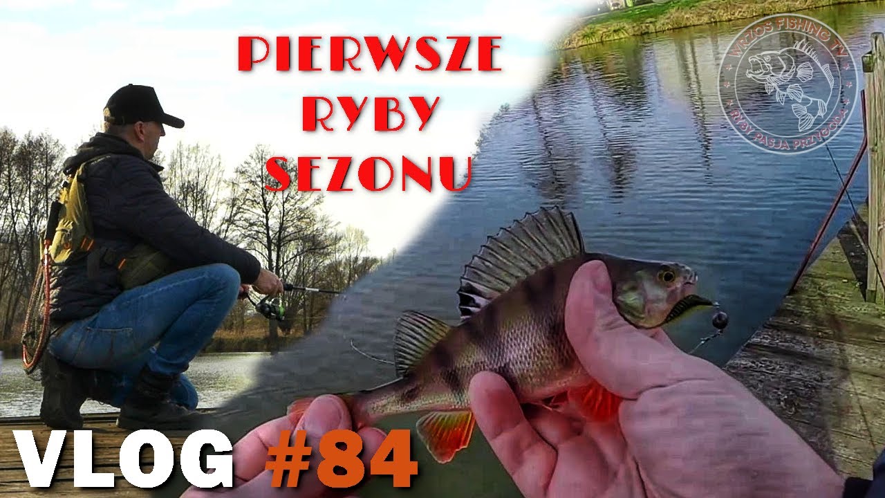 PIERWSZE RYBY SEZONU| DAM MICROFLEX MOJE WRAŻENIA| Vlog#84