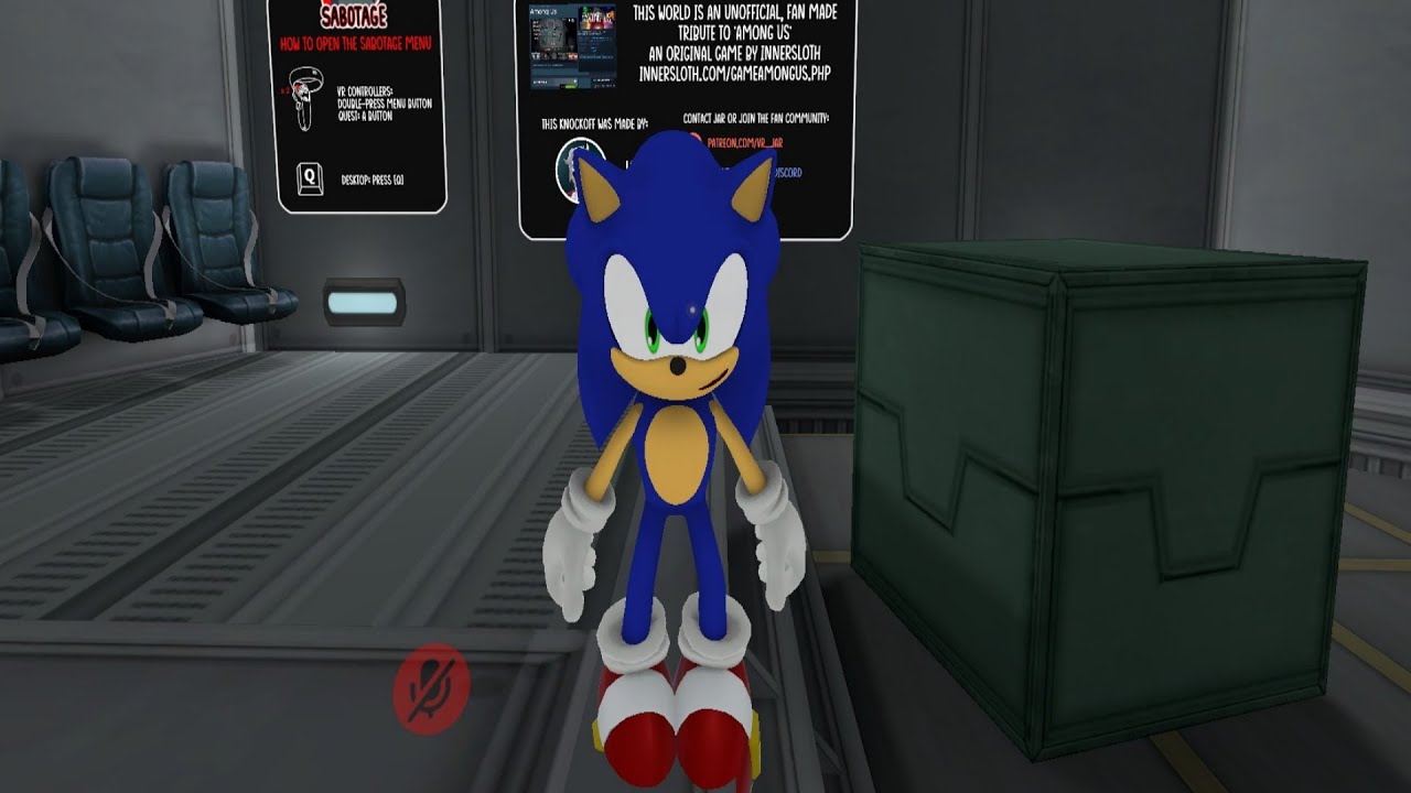 Angry Sonic Kid of VRChat