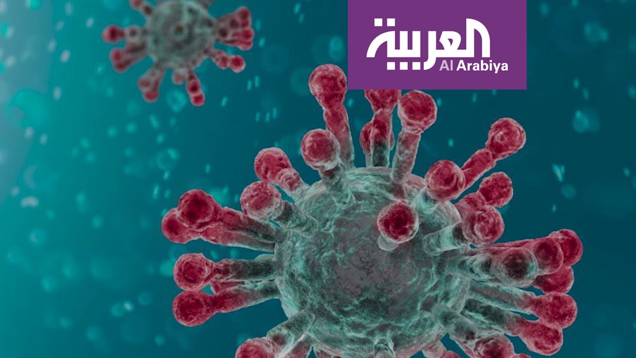 كل شيء حول فيروس الرعب.. كورونا يقلق العالم