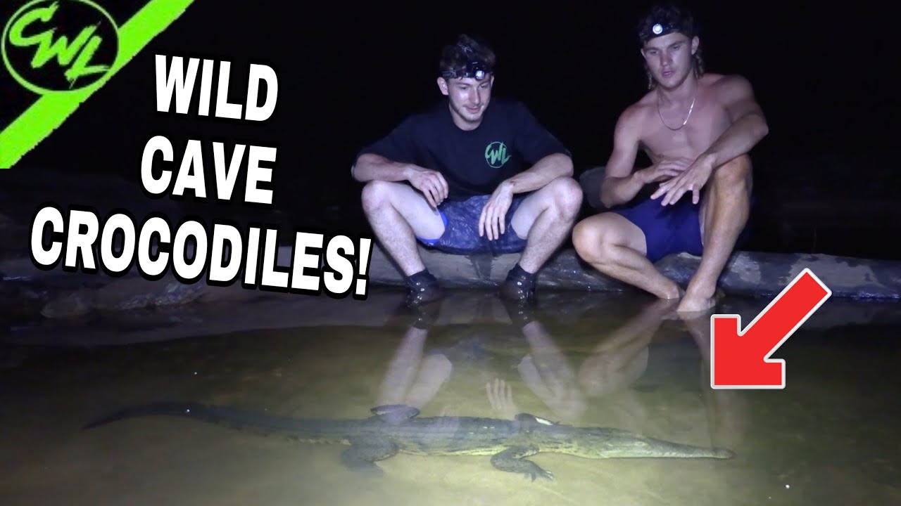 WILD CAVE CROCODILES!!!(AUSTRALIA)