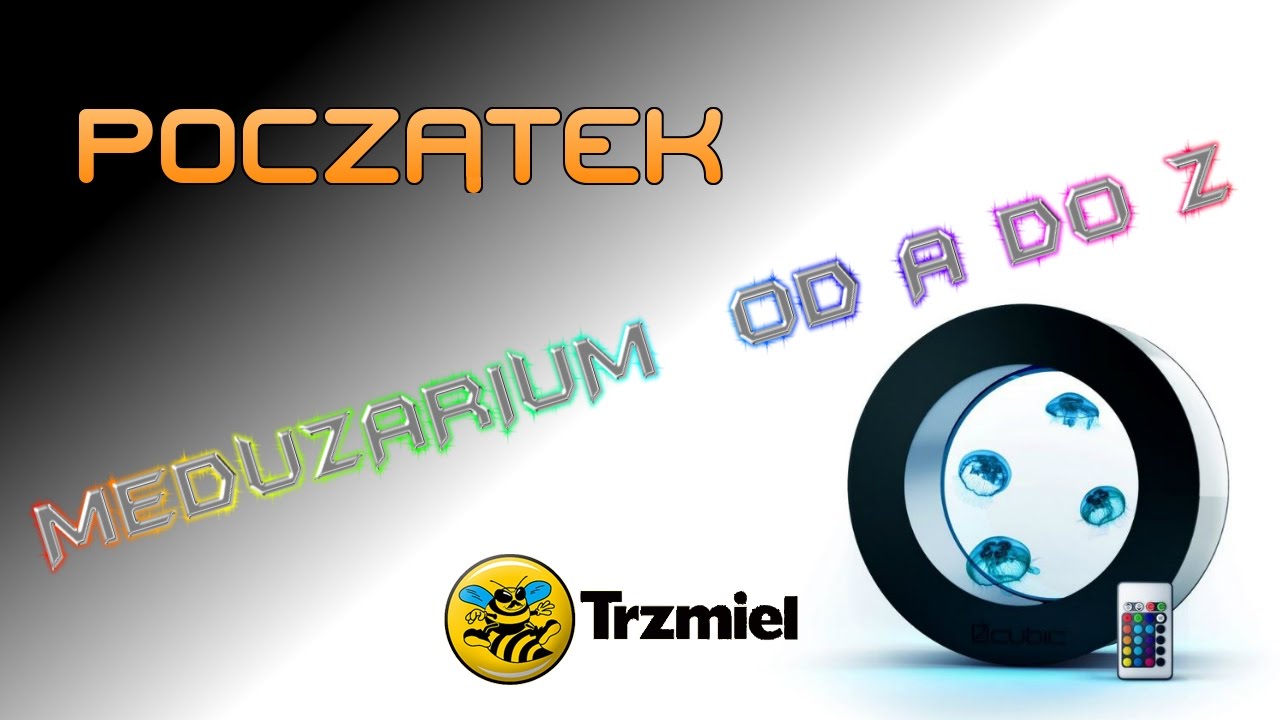 Meduzarium od A do Z / Odc. 1 / Początek / Jellyfish