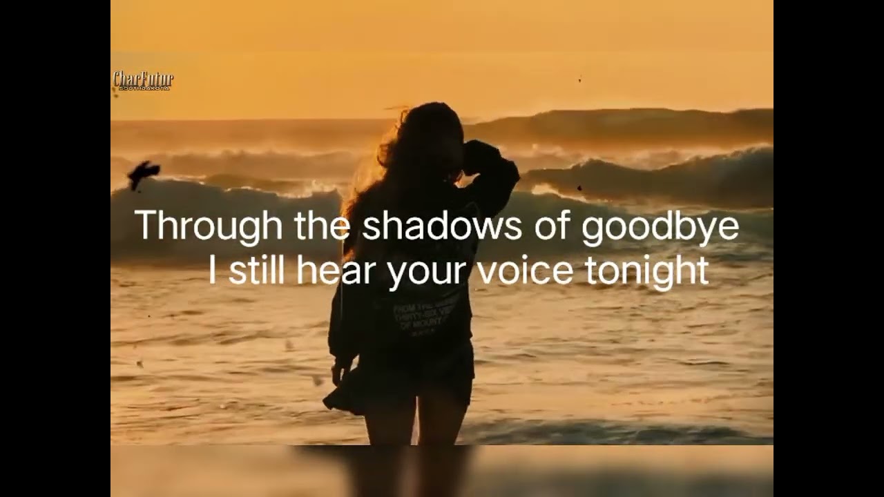 Through the Shadows of Goodbye karaoke 