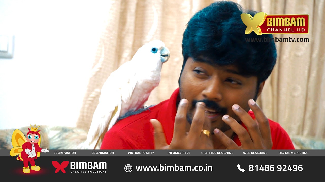 Ducorp's Cockatoo - Tamil pet guide