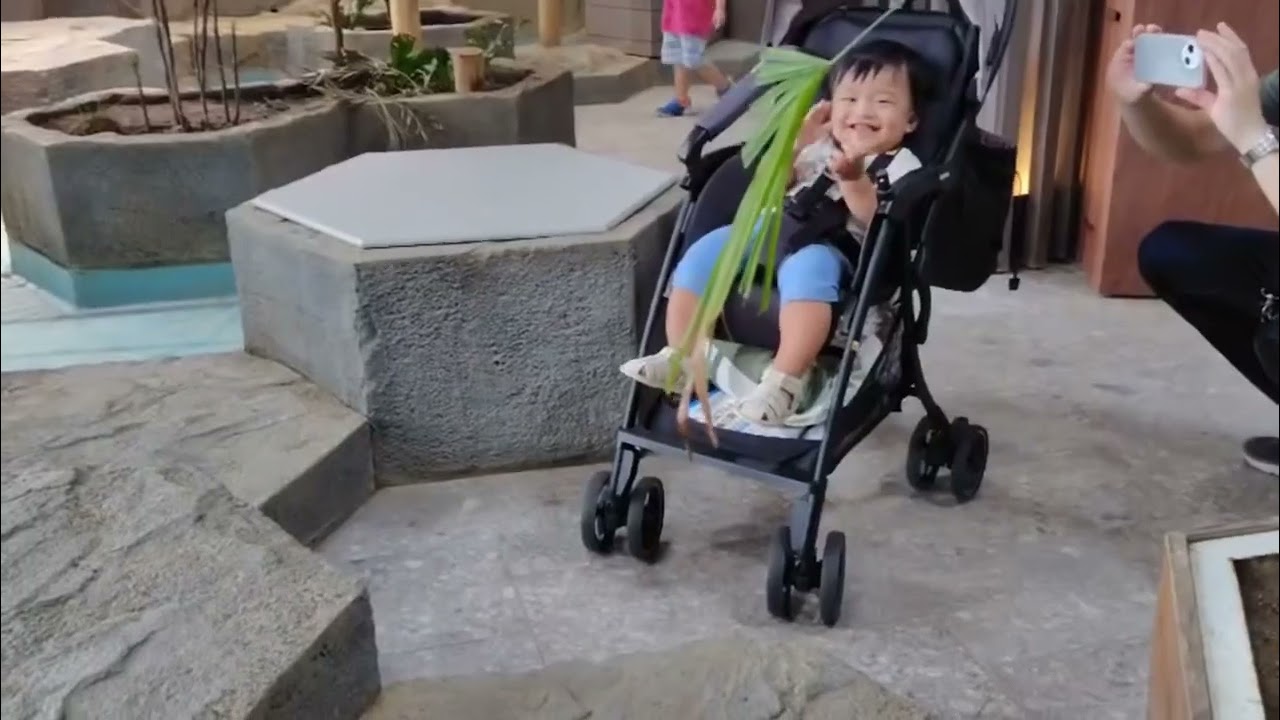 Explore NIFREL Interactive Aquazoo in Osaka 🇯🇵.