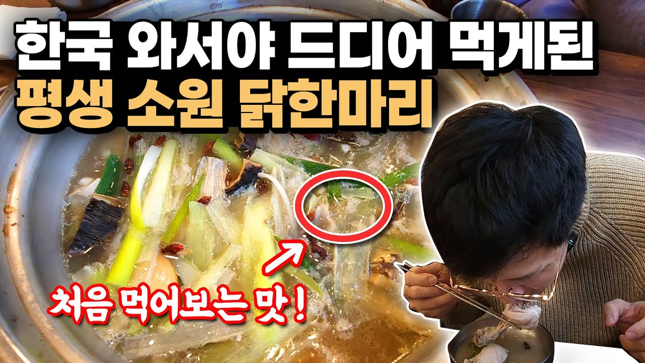 평생소원이었던 닭한마리, 한국에서 n번째 먹는 중... 🍗