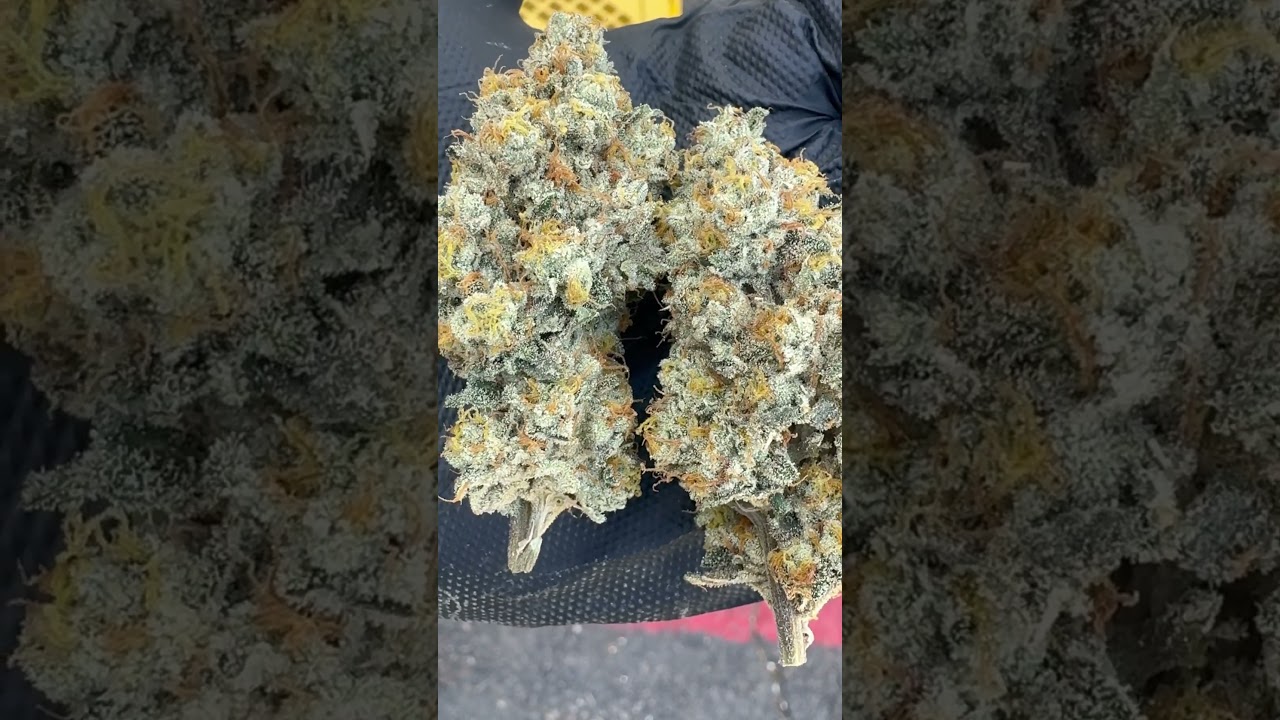 E-85 (Wedding Cake x Project 4516)