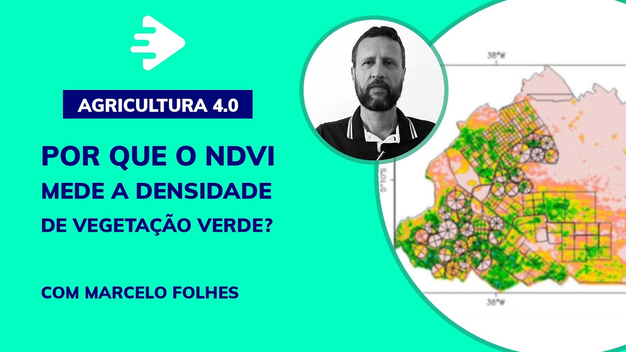 Por que o NDVI mede a densidade de vegetação verde?