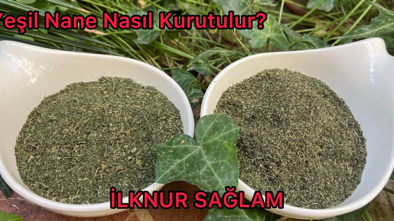 Yeşil Nane Kararmadan Hızlıca Nasıl Kurutulur? Nane Kurutma Yöntemleri/Kendi Nanemizi Kurutalım!!
