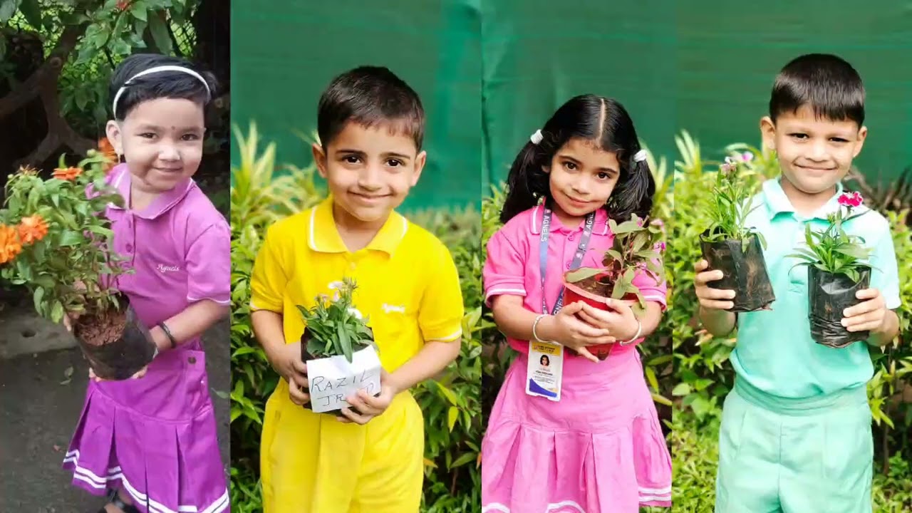 Tree Plantation Activity (Pre-primary)