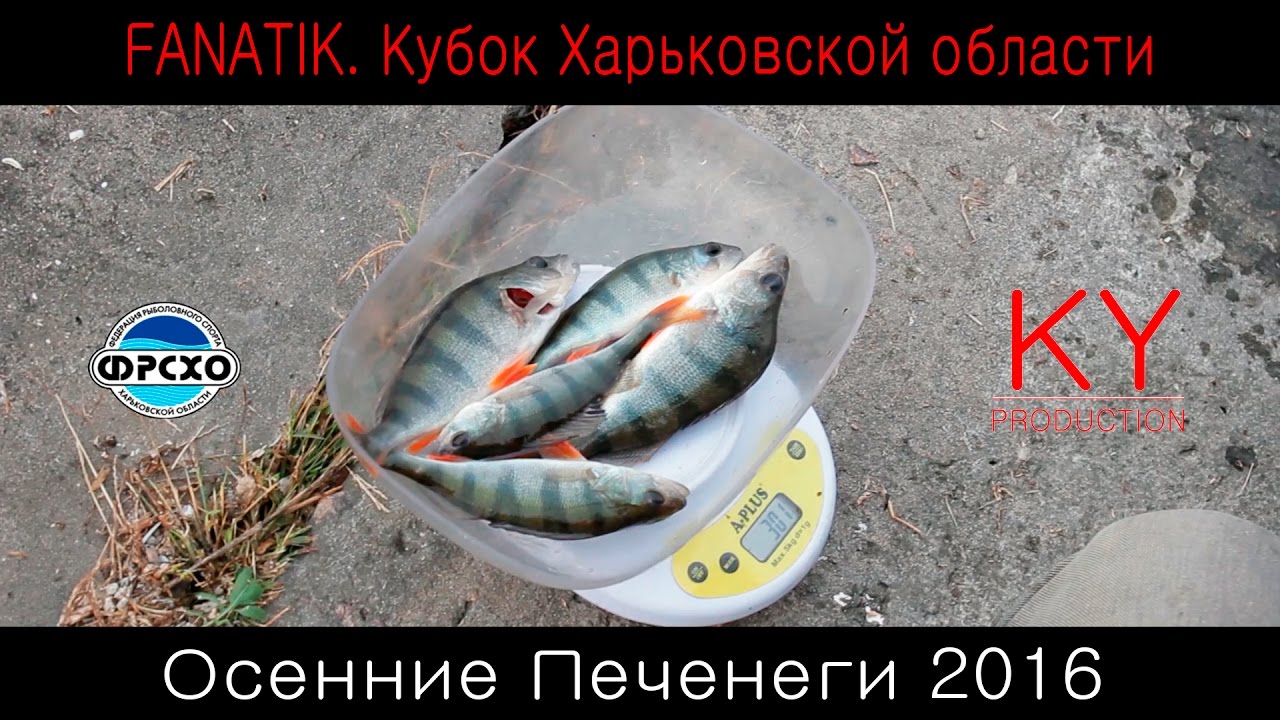 FANATIK. Кубок Харьковской области, Осенние печенеги 2016