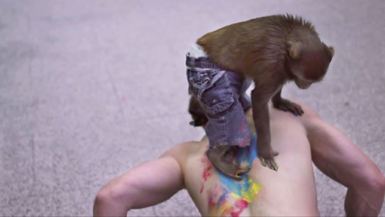 Dancing Monkey with Pants