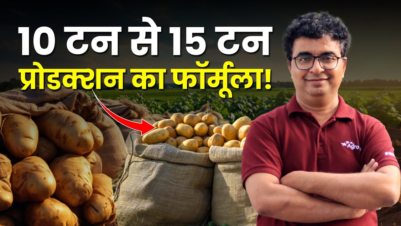Aalu ki kheti 2025 में बंपर पैदावार | आलू बीज दर | Aalu ki kheti | Potato farming | AgroStar