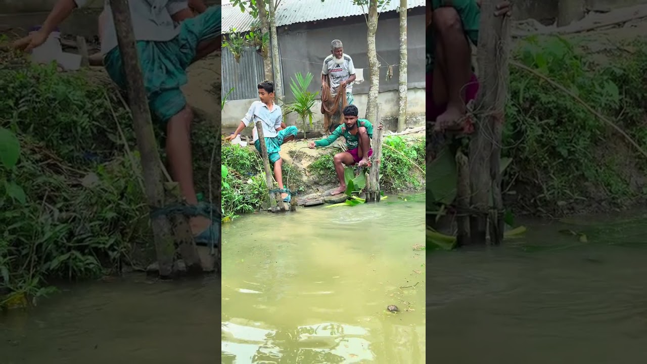 They are try to catch big fish. 