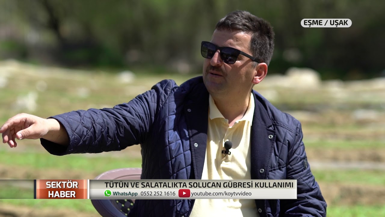 SEKTÖR HABER |  UŞAK EŞME - TÜTÜN VE SALATALIKTA SOLUCAN GÜBRESİ KULLANIMI