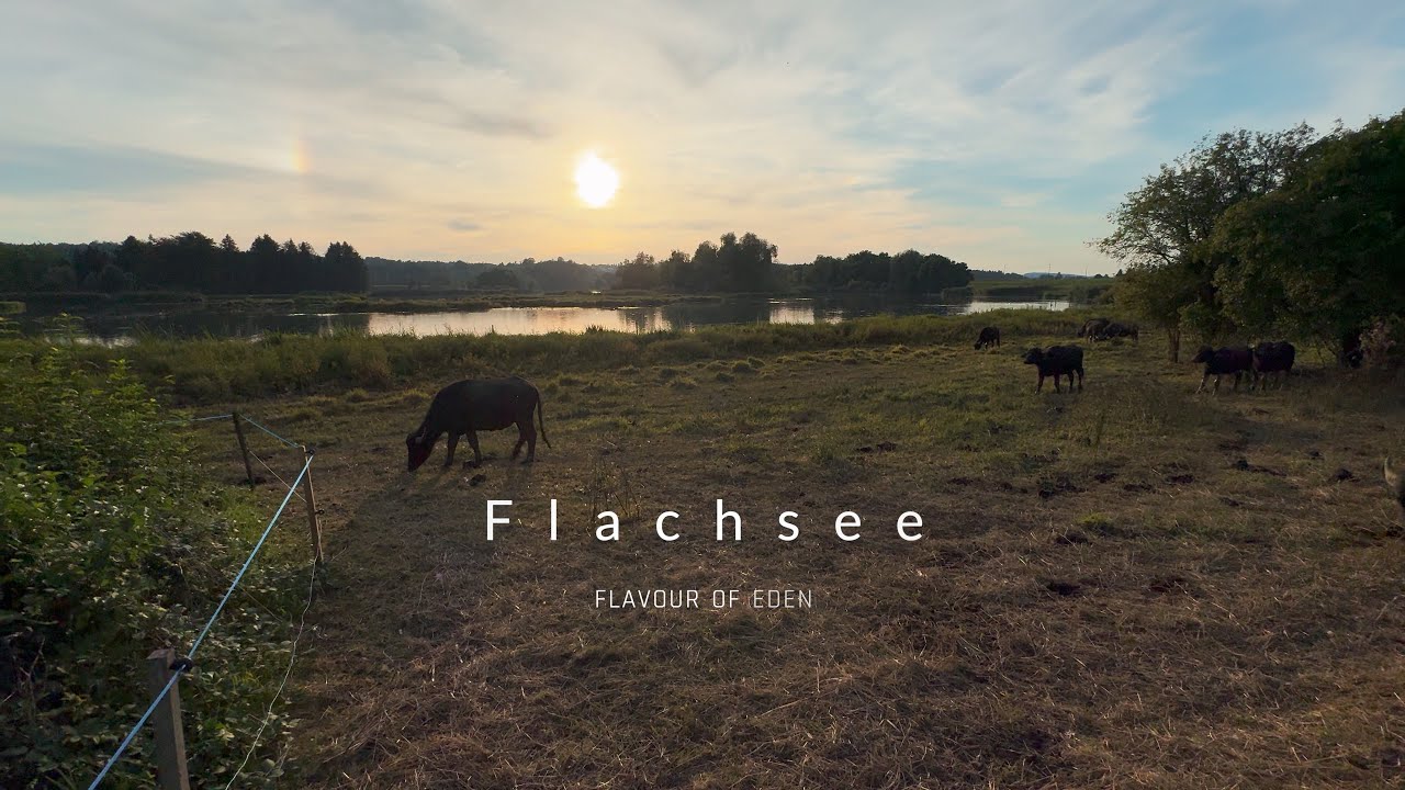 Der Flachsee - Naturdoku