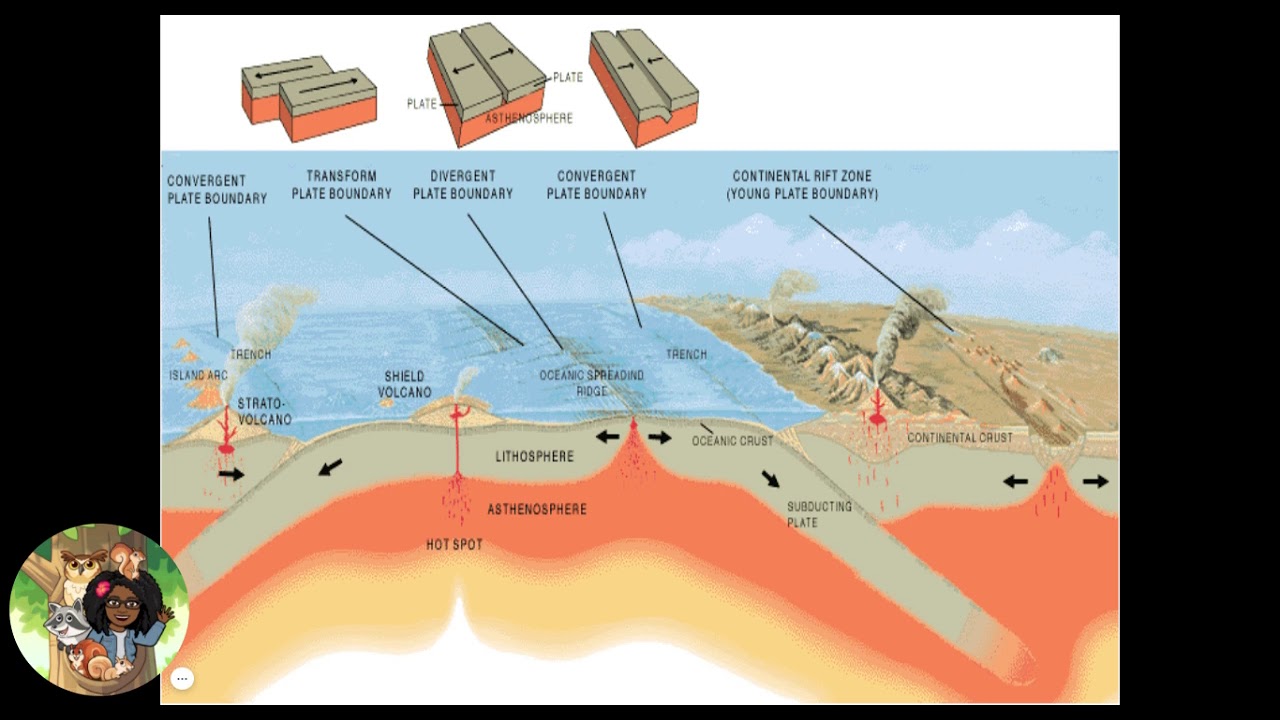 5 Plate Tectonics pt1