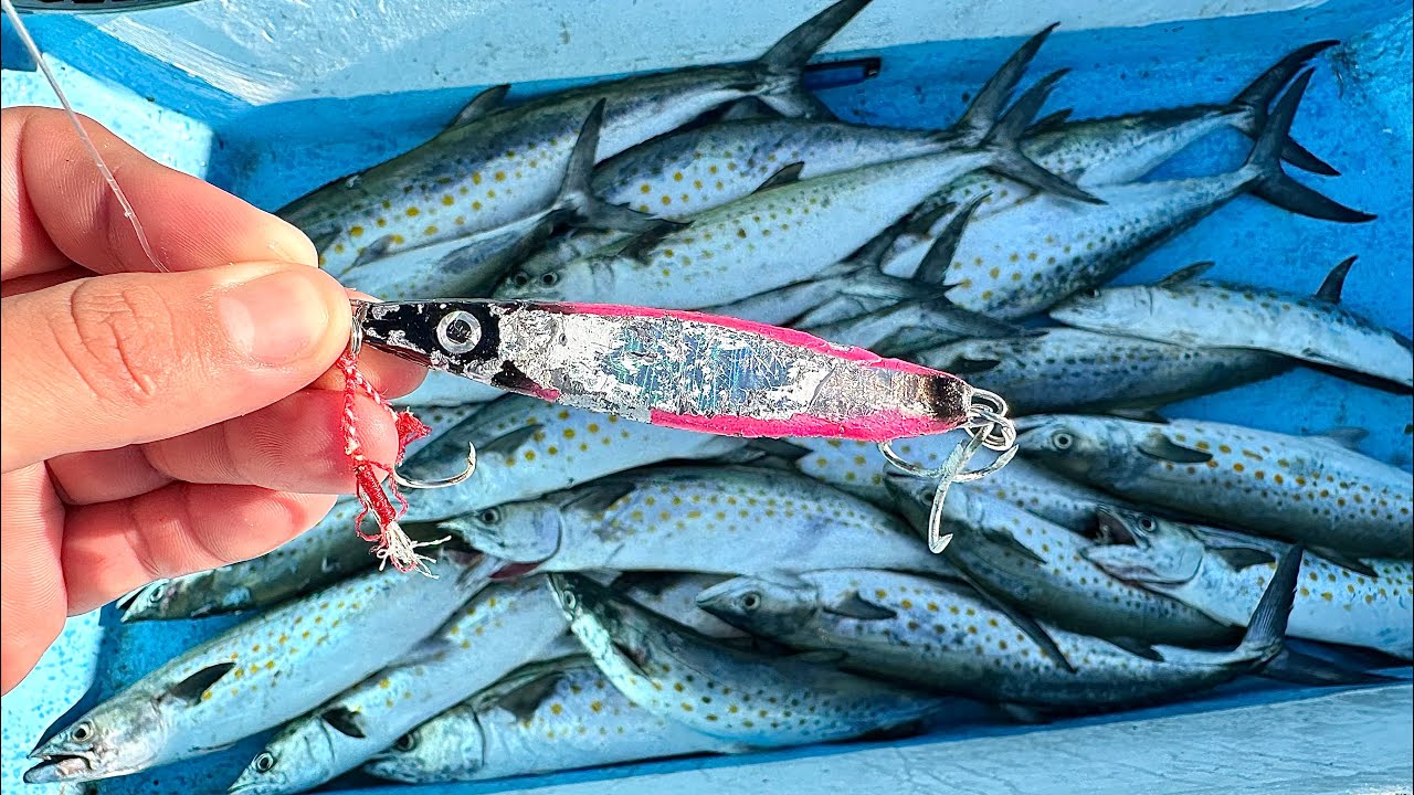 EL SEÑUELO más EFECTIVO para PESCAR SIERRAS // pesca con jigs // pesca de sierras o macarelas
