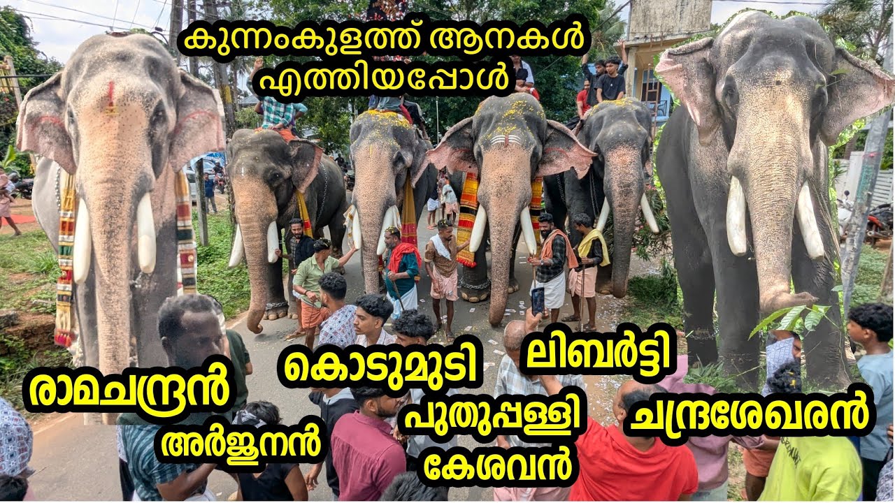 പൂരത്തിന് ആനകൾ എത്തിയപ്പോൾ  വമ്പൻ സ്വീകരണം ശ്രീ ശങ്കരപുരംക്ഷേത്രം കുന്നംകുളം kunnamkulam pooram aana