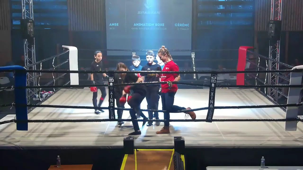1/2 finale élite A boxe française Donzère