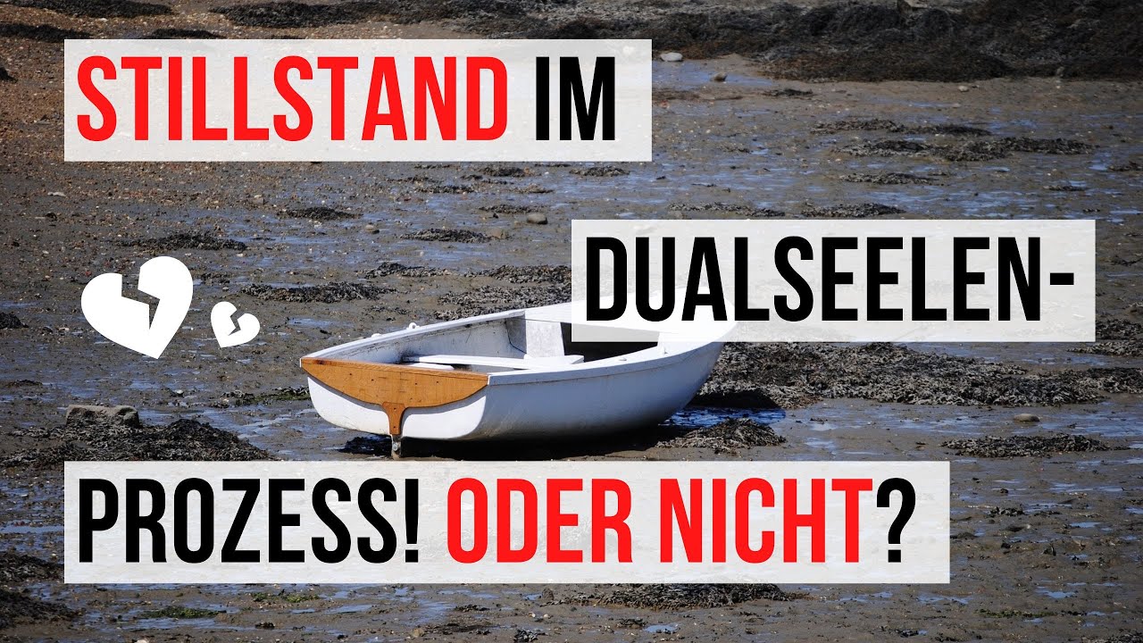 🤯 Stillstand im Dualseelenprozess ‼️ Oder nur eine Illusion? 🤔
