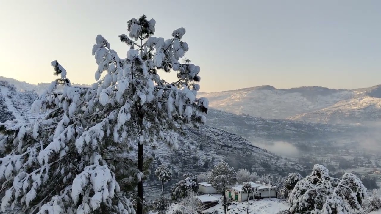 SNOW FALL IN KASHMIR /PEACE FULL VIEW 