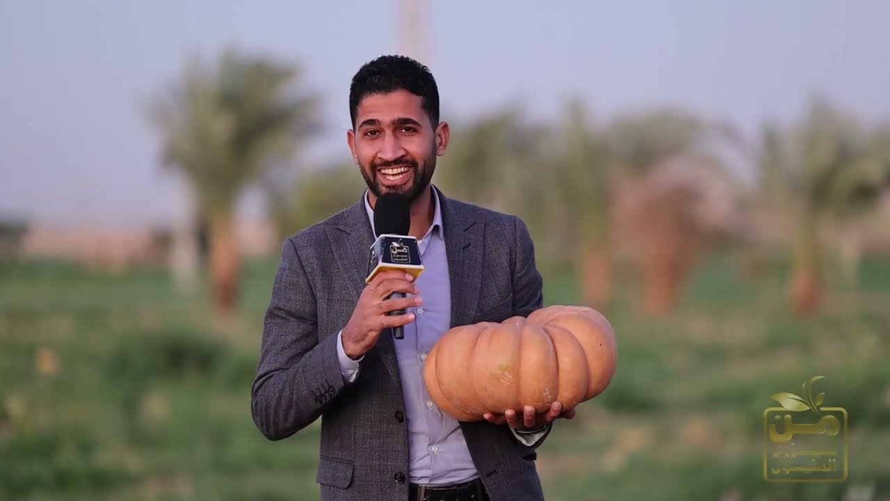 الراجل دا مزارع قرع عسل فنان.. أسرار زراعة قرع العسل في قلب الأقصر.. فوائد غير مسبوقة وإنتاج وربح