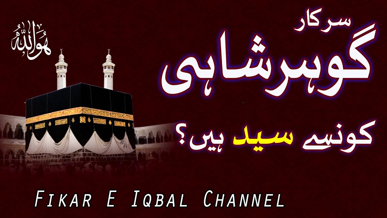 Gohar Shahi Konse Syed Hain