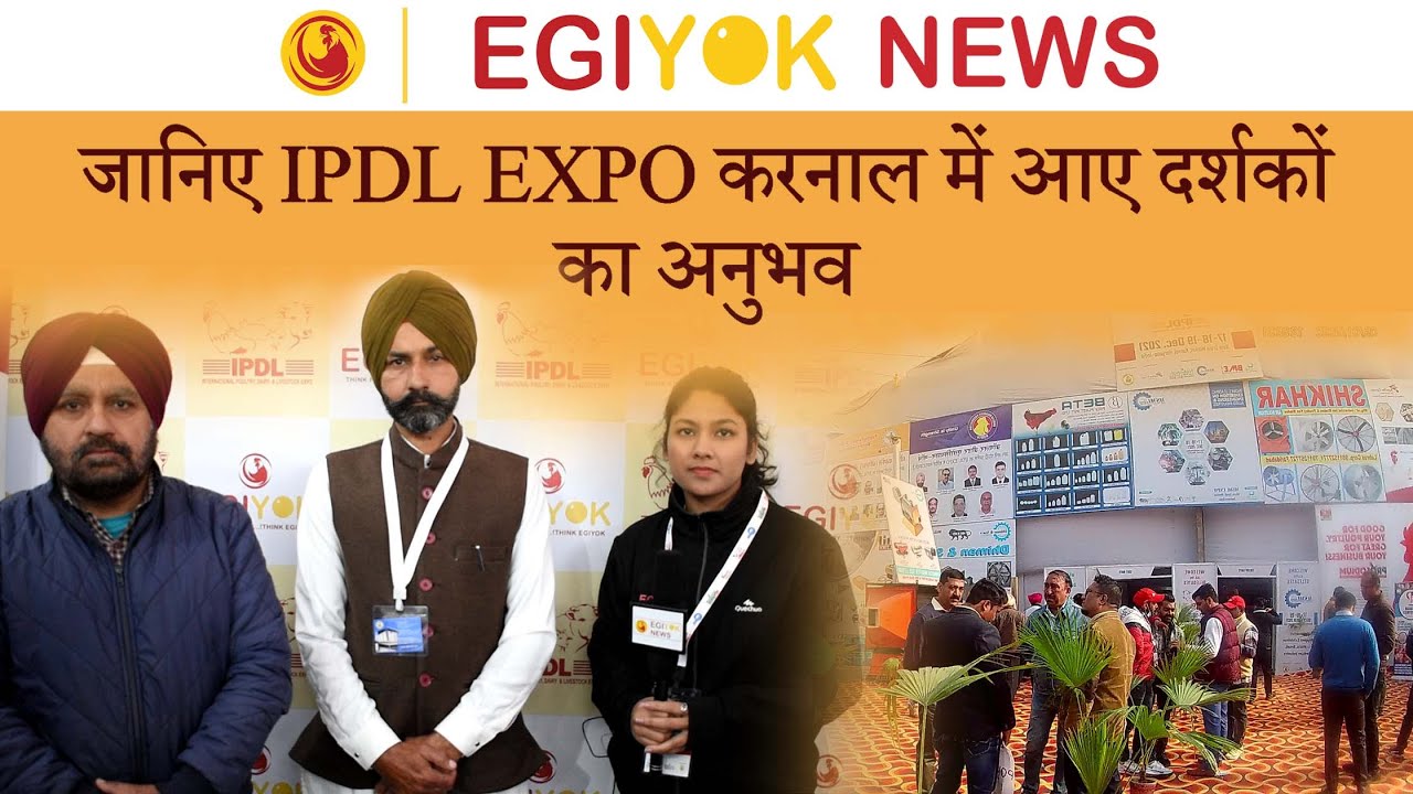 बदलते वक़्त के साथ कितना बदला है पोल्ट्री उद्योग ? || Egiyok || Egiyok News || Egiyok App ||