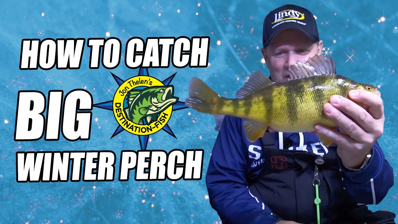 How to Catch Big Winter Perch | Tips and Tricks