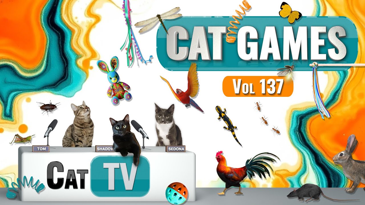 CAT Games | Ultimate Cat TV Compilation Vol 137 | 8 ЧАСОВ 🐝🐞🦋🦎🦜🐜🐭🧵