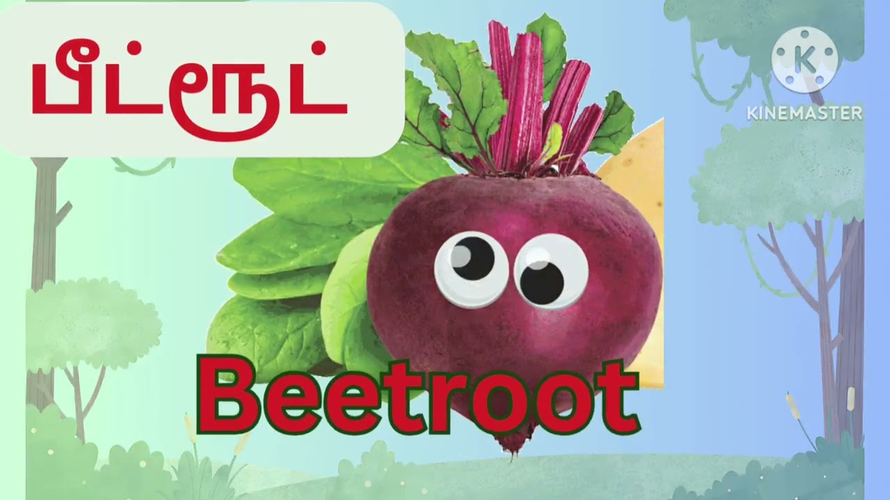 Learn Vegetable names @Jollykidstime03 | vegetable vocabulary|காய்கறிகள்|  vegetable names& pictures