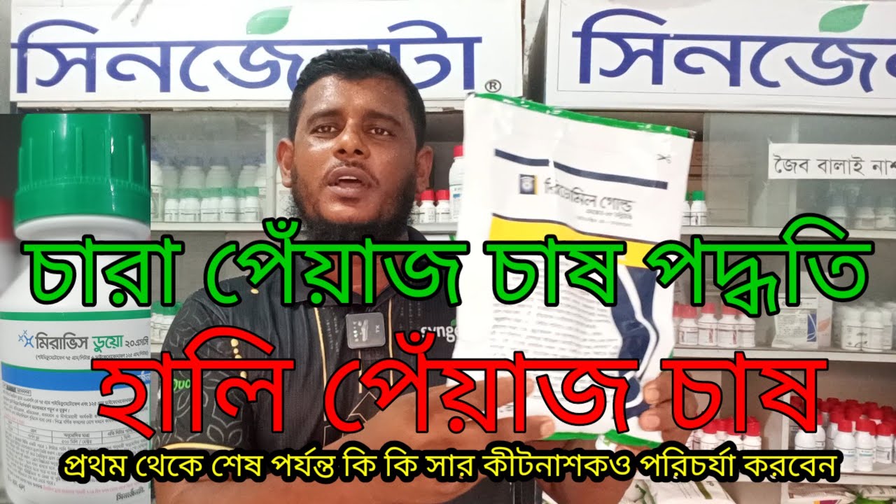 চারা পেঁয়াজ ও হালি পিয়াজ চাষ পদ্ধতি | সিনজেনটা কৃষি টিভি 