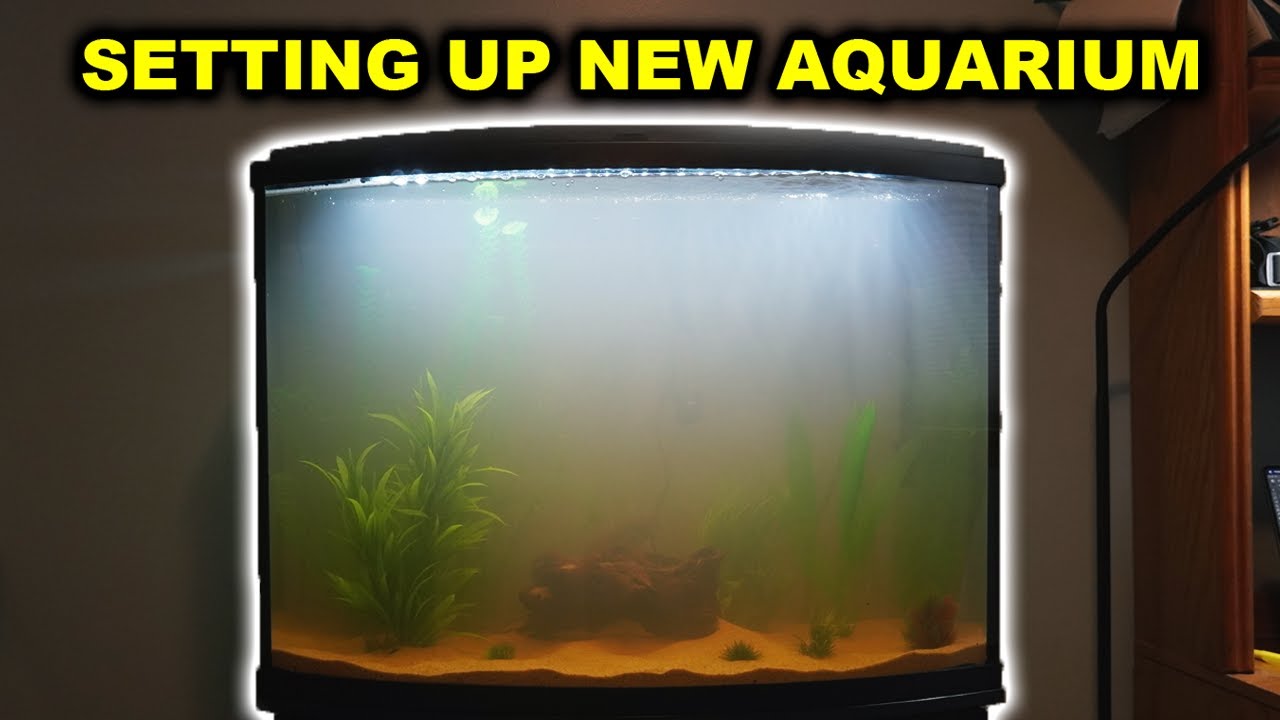 Setting up my NEW 36 GALLON AQUARIUM!!