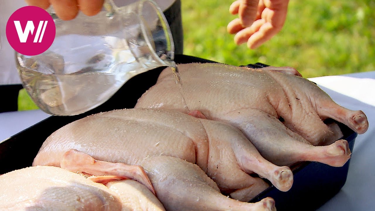 Traditionelle deutsche Küche - leckere Gerichte aus dem Spreewald